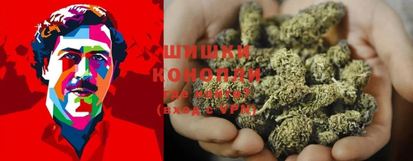 шишки Абинск
